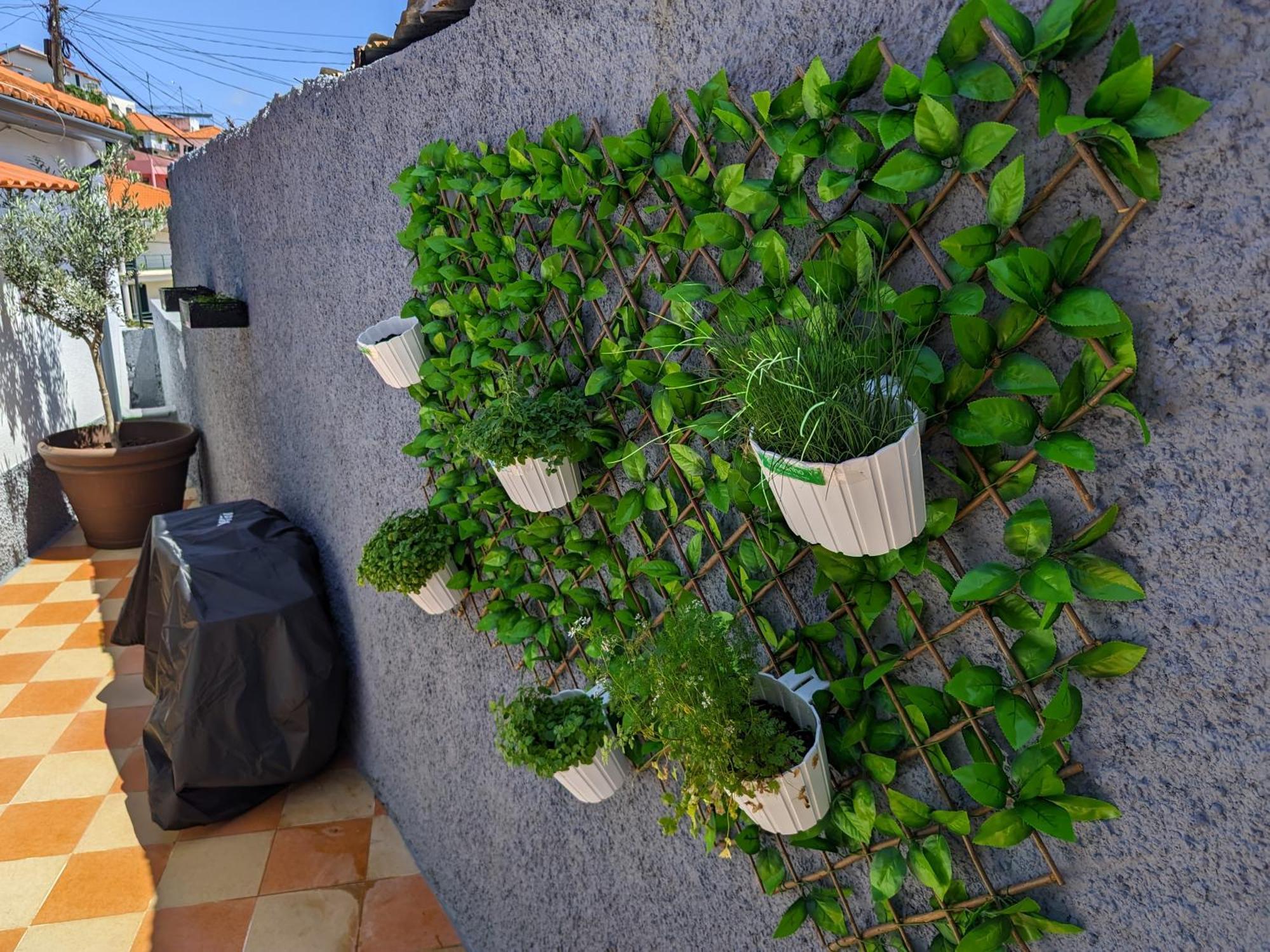 Casa Ascencao, Vista Mar Madeira Villa Funchal  Eksteriør bilde